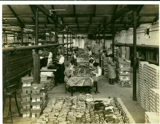 Acabado de zapatillas, Long Meadow, 1923